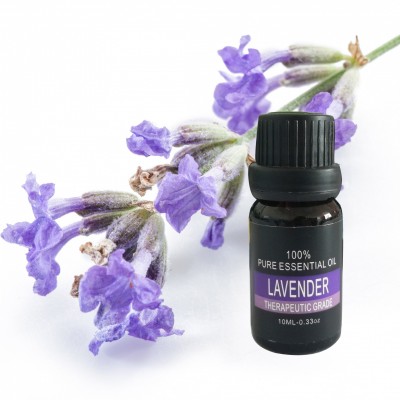 Wholesale buy  Lavender Perfume Oil Fragrance/Lavender Fragrance Oil