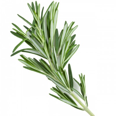 Beauty Product hair growth Product Rosemary Essential oil