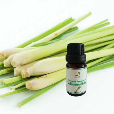 Bulk essential oil citronella oil candle natural plant extract oil benefits