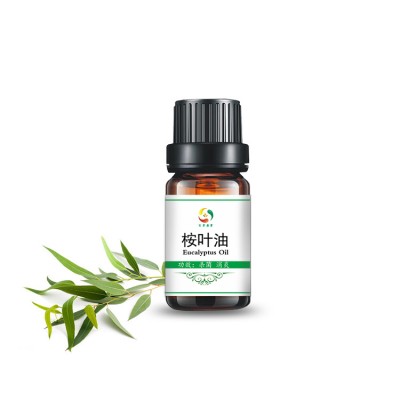 Pure Nature 50% Eucalyptus Essential oil wholesale with low prices