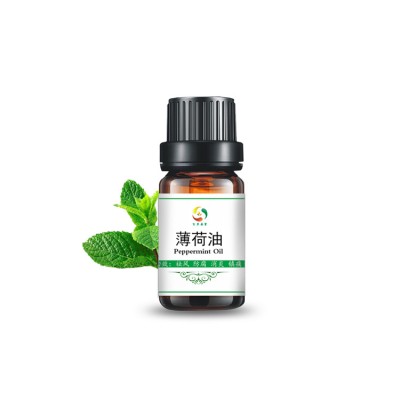 8006-90-4, 68917-18-0 natural pure essential mint oil in bulk prices for pharma, cosmetics, food fragrance flavor oil