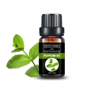 Mentha Arvensis Peppermint Essential Oil with Menthol